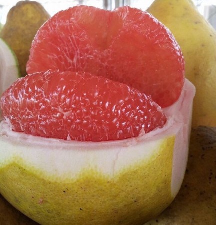 Pomelo