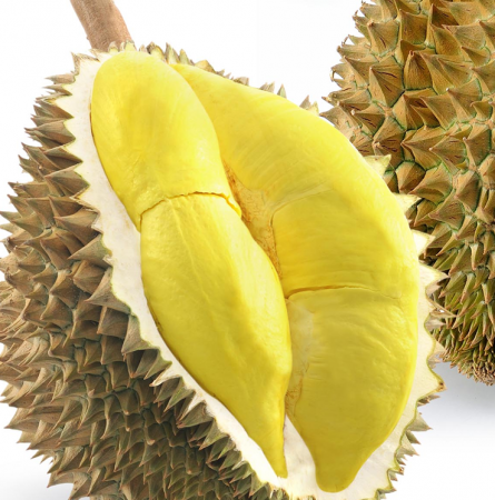 Durian