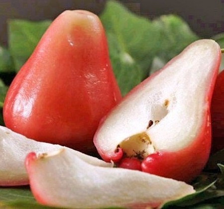 Rose Apple