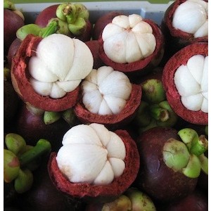 Mangosteen