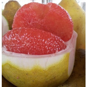 Pomelo