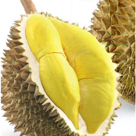 Durian