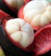 Mangosteen