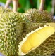 Durian