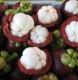 Mangosteen