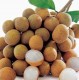 Longan