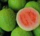 Guava