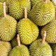 Durian