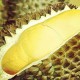 Durian