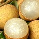 Longan